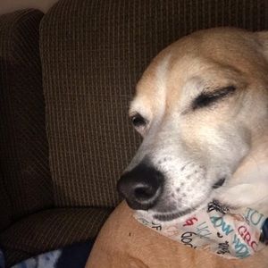 Meet your Posher, Mac